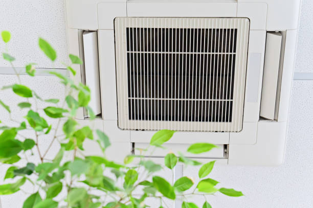 Professional Airduct Cleaning in Smyrna, DE